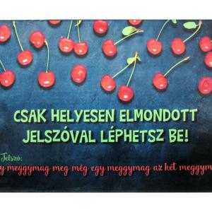 Egymeggymag meg még egy...vicces lábtörlő jelszós 60x40cm