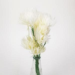 Fehér bolyhos bokor