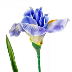 Irisz szálas kék M58cm