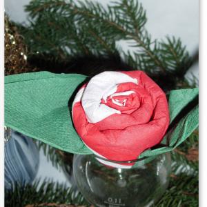 Kétszínű rózsa tissue