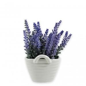 Levendula fehér kaspóban mű 18cm