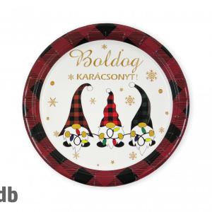 Party tányér Boldog Karácsonyt manós 6db 22,5cm 661272