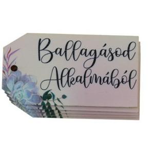 Tábla fa Biléta-ballagásod alkalmából (rózsaszín) 3,7*6,9cm LV