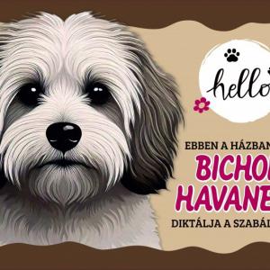 Tálalátét - lábtörlő Bichon Havanese kutyás 60x40cm