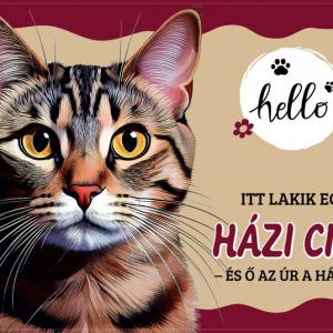 Tálalátét - lábtörlő Házi cicás 60x40cm