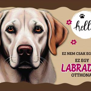 Tálalátét - lábtörlő Labrador kutyás 60x40cm