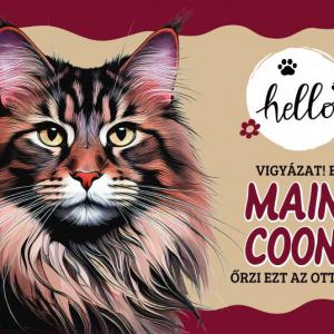 Tálalátét - lábtörlő Maine Coon cicás 60x40cm