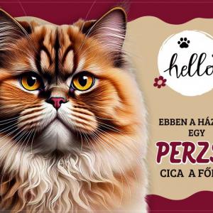 Tálalátét - lábtörlő Perzsa cicás 60x40cm