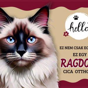 Tálalátét - lábtörlő Ragdoll cicás 60x40cm