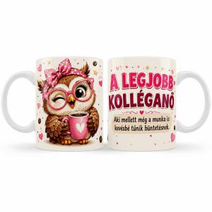 Vicces Kolléga Bögre – A Legjobb Kolléganő Aki Mellett Még a Munka is – Ajándék Kolléganőnek Baglyos Grafikával