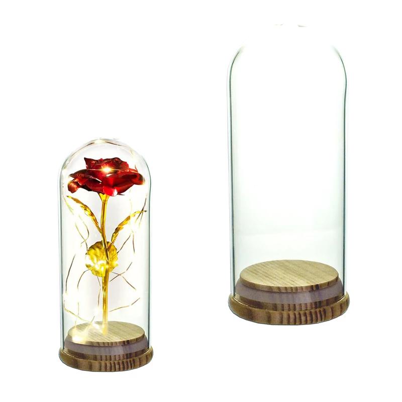 Üvegbúra fa talppal – 6,5×15 cm