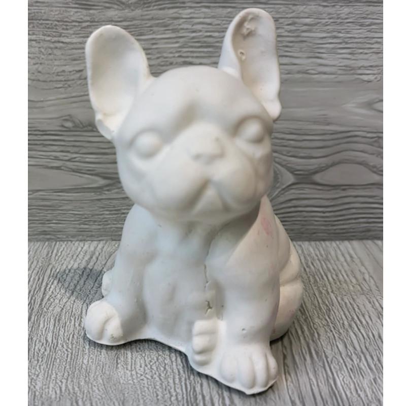 Bulldog Kutya