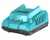 P20S lítium-ion akkumulátor töltő / 2A, 2A / 20V / INDUSTRIAL (TFCLI2001E)
