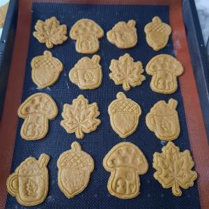 Gomba kiszúró