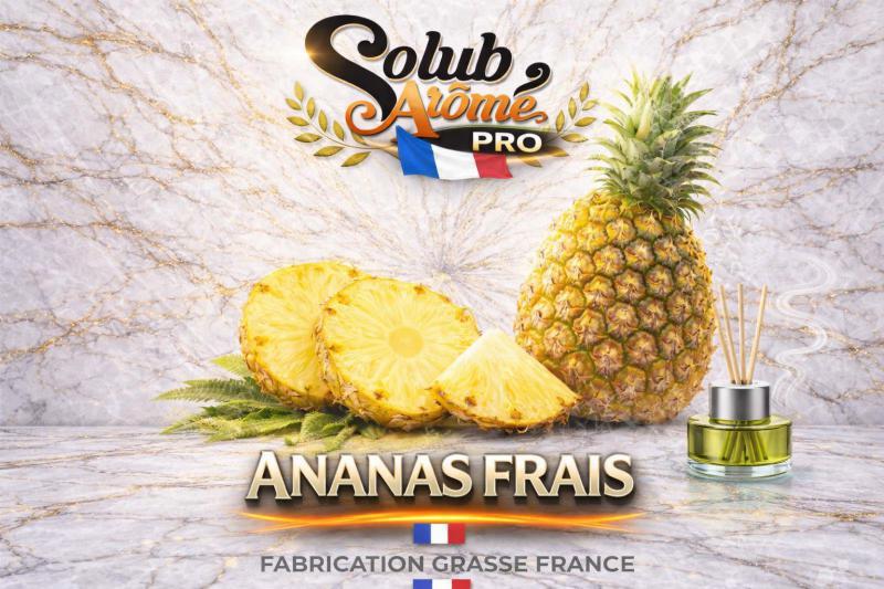 ( 011.-) Solub - Ananas Frais 10ml