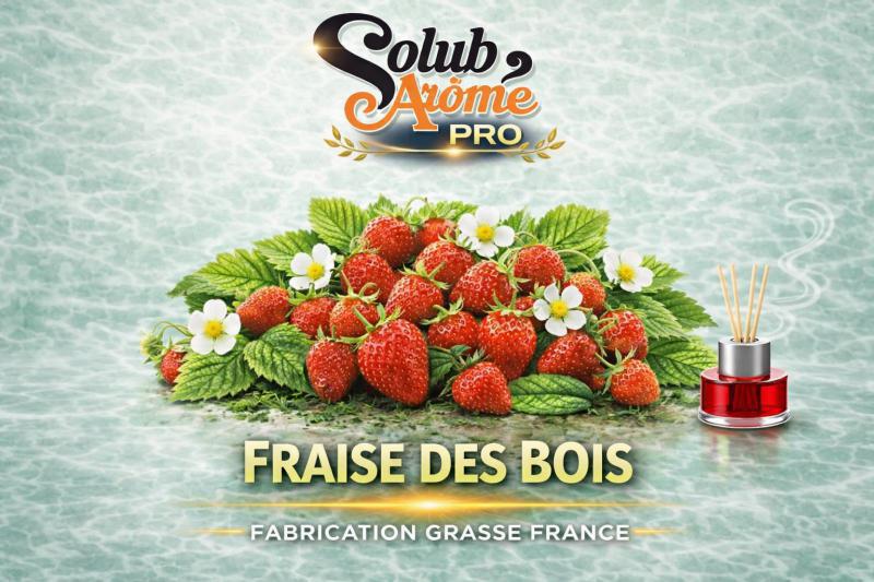 ( 045.-) Solub - Fraise des Bois 10ml