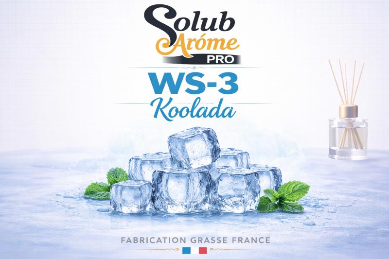 ( 046.-) Solub - WS 3 Koolada - Additif - ( Hűsítő adalék ) 10ml