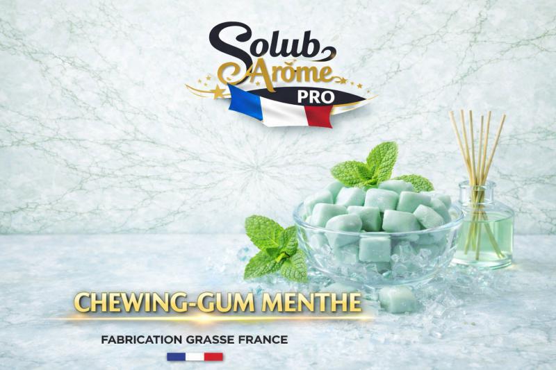 ( 050.-) Solub - Chewing Gum Menthe 10ml