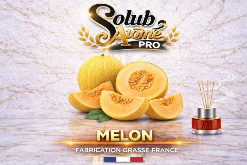 ( 054.-) Solub - Melon 10ml