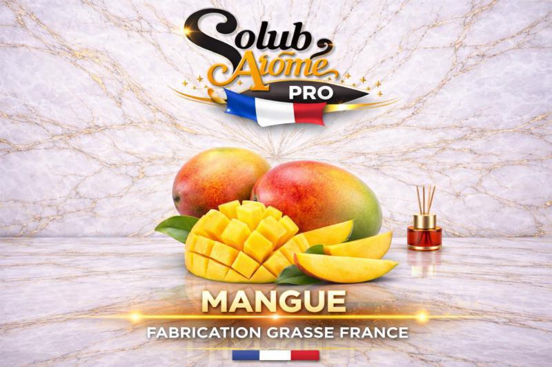 ( 057.-) Solub - Mangue 10ml
