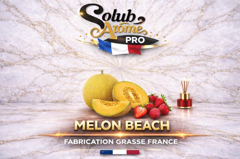 ( 059.-)   Solub - Melon Beach   10ml