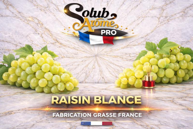 ( 074.-) Solub - Raisin Blanc 10ml