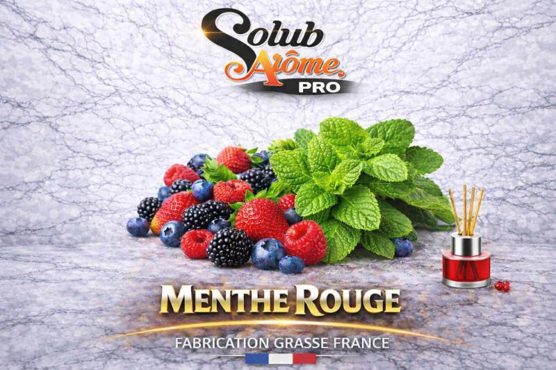 ( 086.-) Solub - Menthe Rouge 10ml