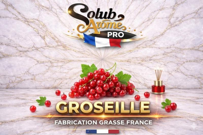 ( 093.-) Solub - Groseille 10m