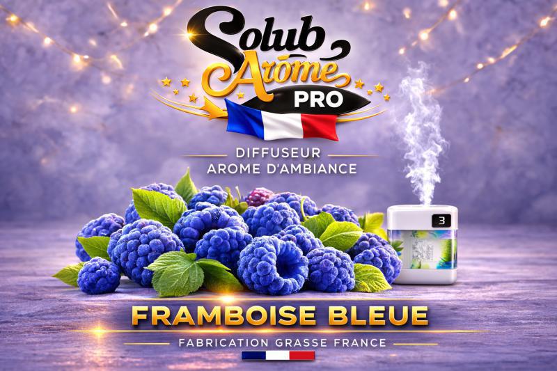 ( 100 - A.- ) Solub - Framboise Bleue 10ml
