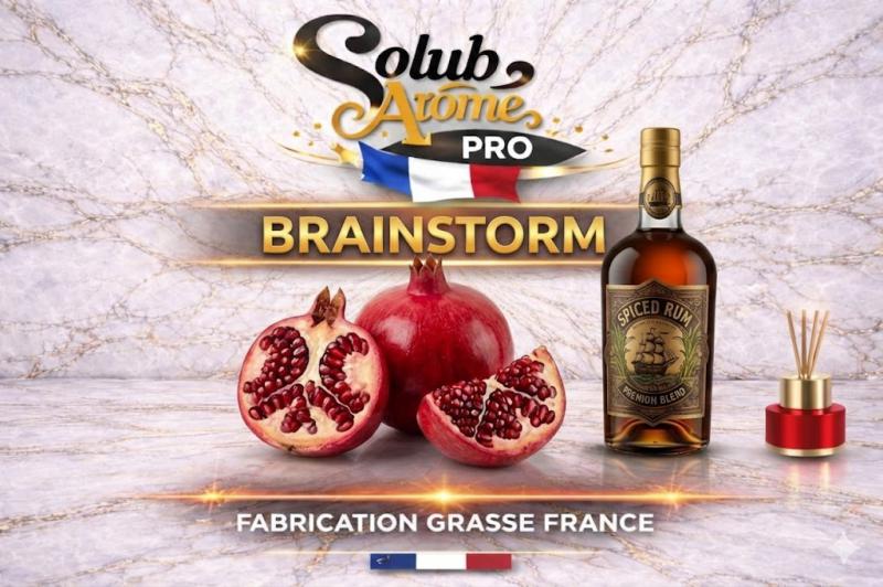 ( 107.-)     Solub - Brainstorm    10ml