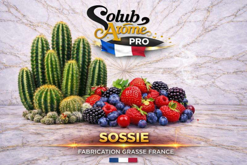 ( 140.-) Solub - Sosie 10ml