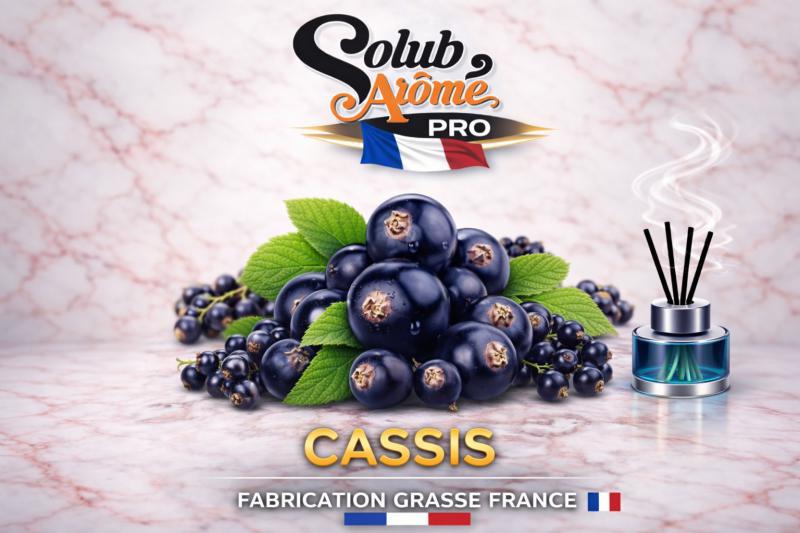 ( 307.-) Solub - Cassis 10ml