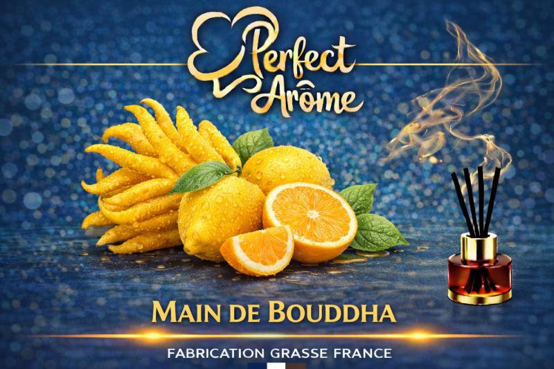 ( 327.-) By Solub - Perfect - Main de Bouddha 10ml