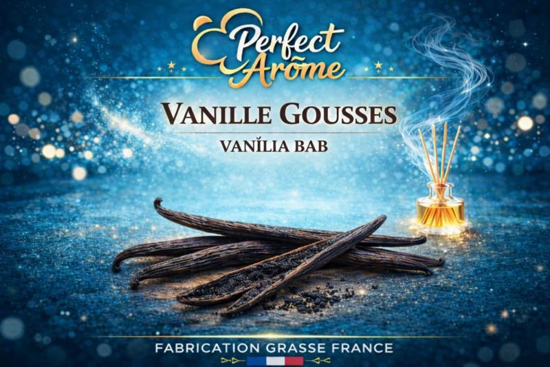 ( 345-) By Solub - Perfect - Vanille Gousses 10 ml