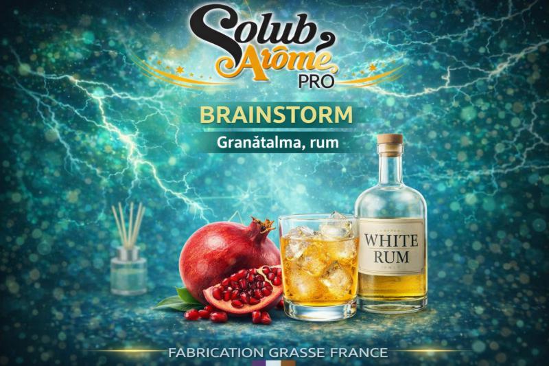 ( 376.-) Solub - Brainstorm 10ml