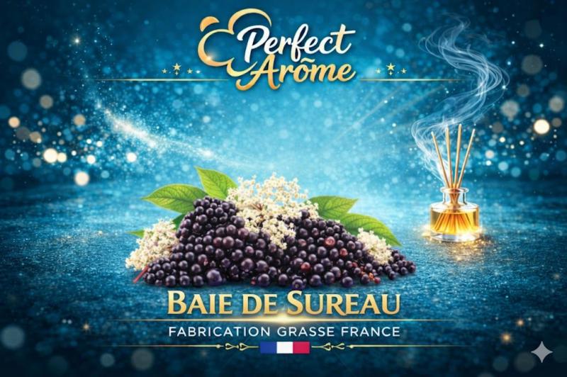 ( 405.-) By Solub - Perfect - Baie de Sureau 10ml