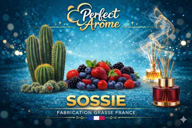 ( 408.-) By Solub - Perfect - Sosie 10ml