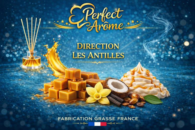( 409.-) By Solub - Perfect - Direction Les Antilles 10ml