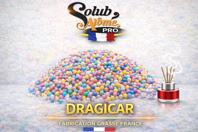 ( 413.-) Solub - Dragicar 10ml