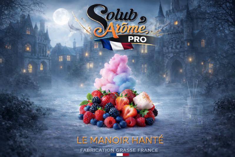 ( 413.-) Solub - Le Manoir Hanté 10ml
