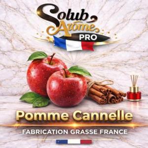 ( 010.-) Solub - Pommme Cannelle 10ml