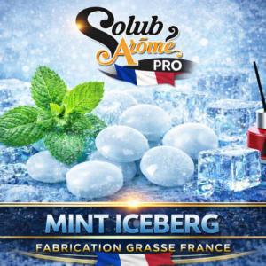 ( 049.-) Solub - Mint Iceberg 10ml