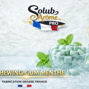 ( 050.-) Solub - Chewing Gum Menthe 10ml
