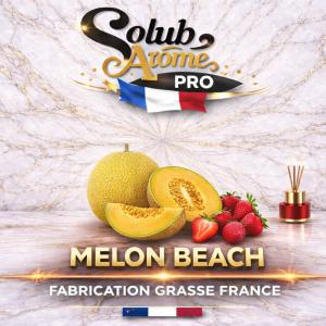 ( 059.-)   Solub - Melon Beach   10ml