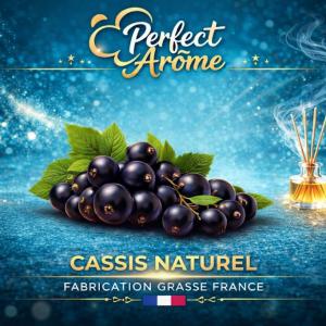 ( 067.-) By Solub - Perfect - Cassis Naturel 10ml