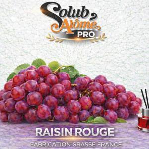 ( 079.-) Solub - Raisin Rouge 10ml