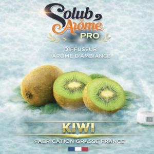 ( 082.-) Solub - Kiwi 10ml