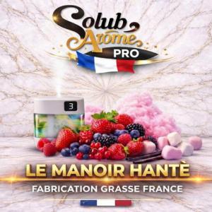 ( 089.-) Solub - Le Manoir Hanté 10ml