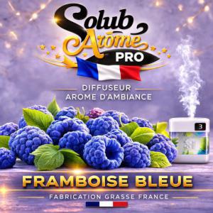 ( 100 - A.- ) Solub - Framboise Bleue 10ml