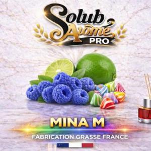 ( 100 - B.-) Solub - Mina M 10ml